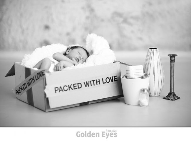 Baby Shooting Babyfoto Familienfoto Hochzeitsfoto Portraitfoto Imagefoto Werbefoto Aktfoto Businessfoto Bewerbungsfoto Hochzeitsfotograf Leipzig GoldenEyes professionelle Fotos Kindershooting Retusche