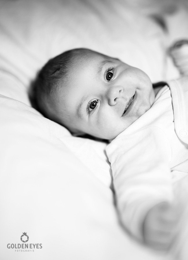 Baby Shooting Babyfoto Familienfoto Hochzeitsfoto Portraitfoto Imagefoto Werbefoto Aktfoto Businessfoto Bewerbungsfoto Hochzeitsfotograf Leipzig GoldenEyes professionelle Fotos Kindershooting Retusche Newbornfotos