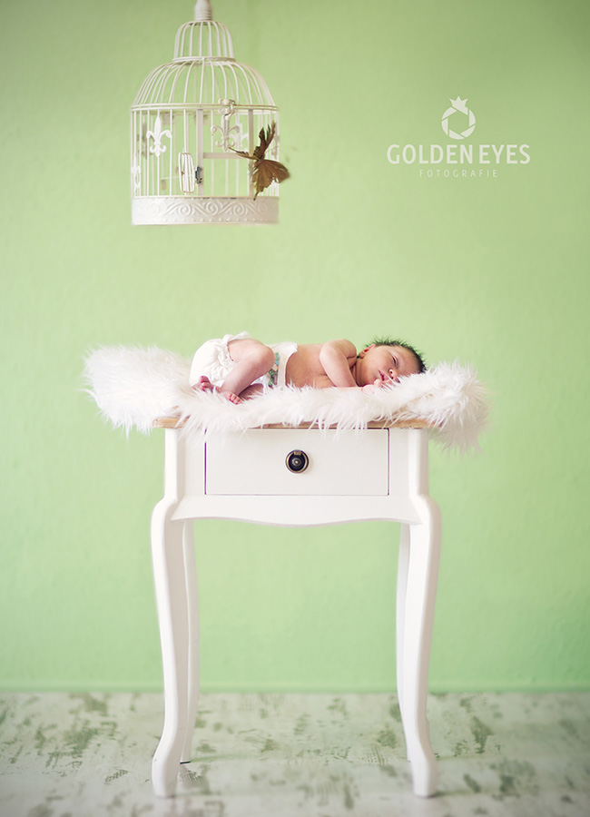 Baby Shooting Babyfoto Kinderfoto Familienfoto Werbefoto Hochzeitsfoto professionelle Fotos Businessfoto emotionale Fotos Paarfoto Babybauch Schwanger Hochzeitsfoto Golden Eyes KathyHennig Leipzig Fotograf Fotostudio Advertising Content social media