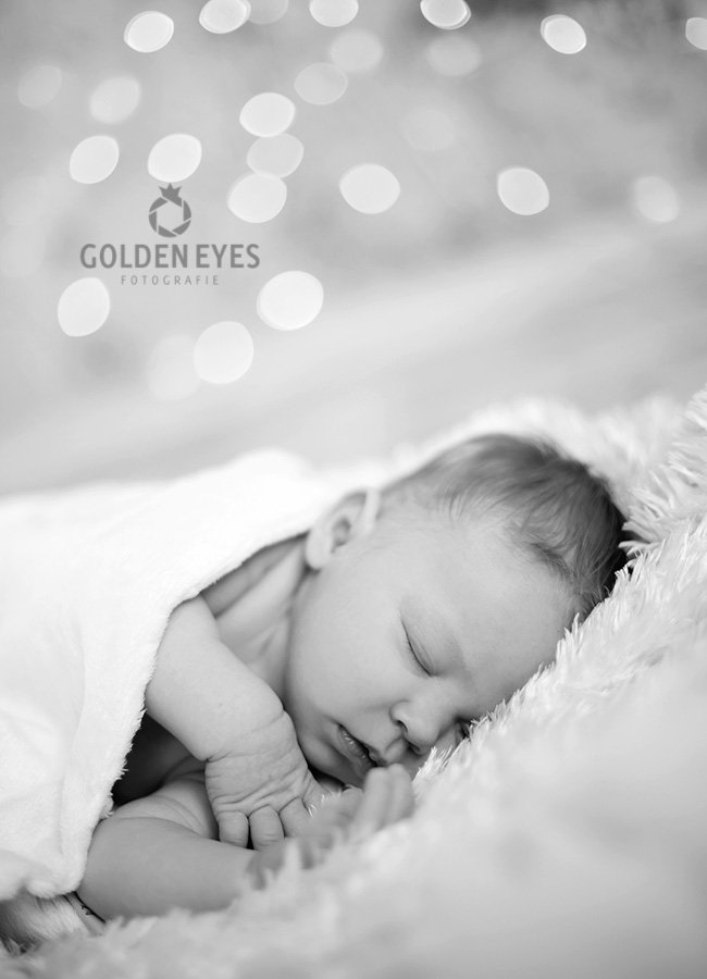Baby Shooting Babyfoto Familienfoto Hochzeitsfoto Portraitfoto Imagefoto Werbefoto Aktfoto Businessfoto Bewerbungsfoto Hochzeitsfotograf Leipzig GoldenEyes professionelle Fotos Kindershooting Retusche Newbornfotos