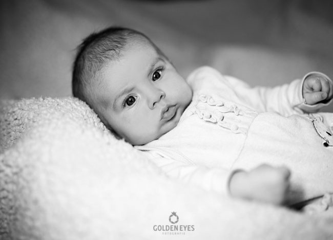 Baby Shooting Baby Shooting Babyfoto Familienfoto Hochzeitsfoto Portraitfoto Imagefoto Werbefoto Aktfoto Businessfoto Bewerbungsfoto Hochzeitsfotograf Leipzig GoldenEyes professionelle Fotos Kindershooting Retusche Newbornfotos