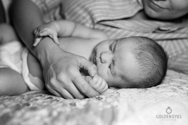 Baby Shooting Babyfoto Familienfoto Hochzeitsfoto Portraitfoto Imagefoto Werbefoto Aktfoto Businessfoto Bewerbungsfoto Hochzeitsfotograf Leipzig GoldenEyes professionelle Fotos Kindershooting Retusche Newbornfotos